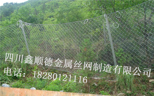 四(si)川邊(bian)坡(po)防(fang)護(hu)網有(you)哪九大(da)防(fang)護類型？