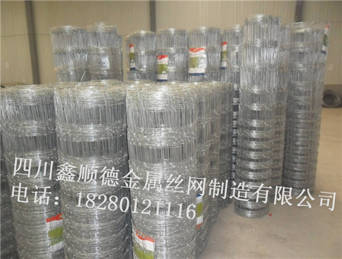 四川(chuan)隔(ge)離防護(hu)欄(lan)
