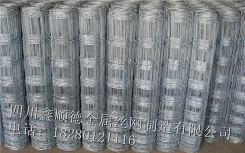 四川隔(ge)離防(fang)護網(wang)廠(chang)傢(jia)