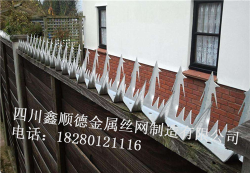 妳知(zhi)道(dao)四川(chuan)防爬刺(ci)、防盜(dao)刺有哪些(xie)特(te)點(dian)？